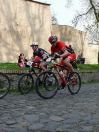 Litoměřická dlažba 2013