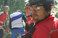 Poslední švih 2011