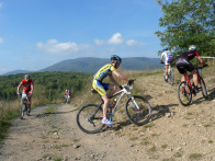 Sayfyho memoriál 2011