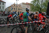 Dlazba 2015