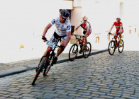 Litoměřická dlažba 2011