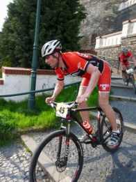 Litoměřická dlažba 2013