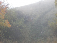 Poslední švih 2012