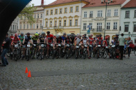 Dlazba 2015