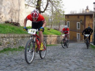 Litoměřická dlažba 2013