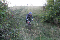 Poslední švih 2011