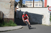 Litoměřická dlažba 2012